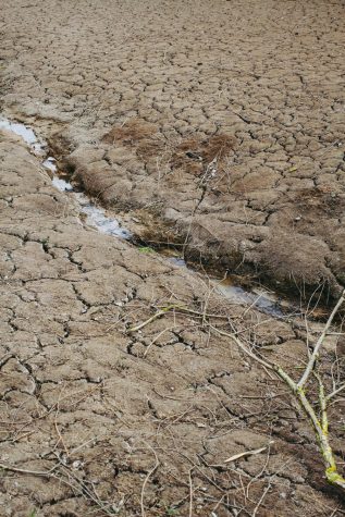 California’s Historic $5.1B Drought