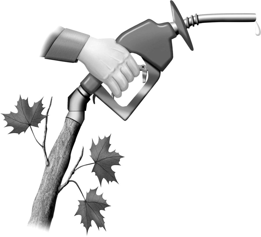 Biofuel illustration