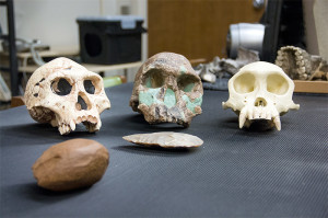 Gilbert helped to make the Forensic Osteology Project with the help of other anthropologists.