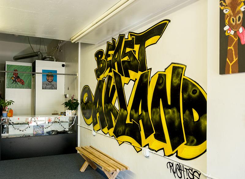 Oakland+designer+unleashes+beast