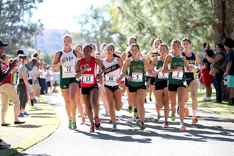 Cross-country season comes to an end