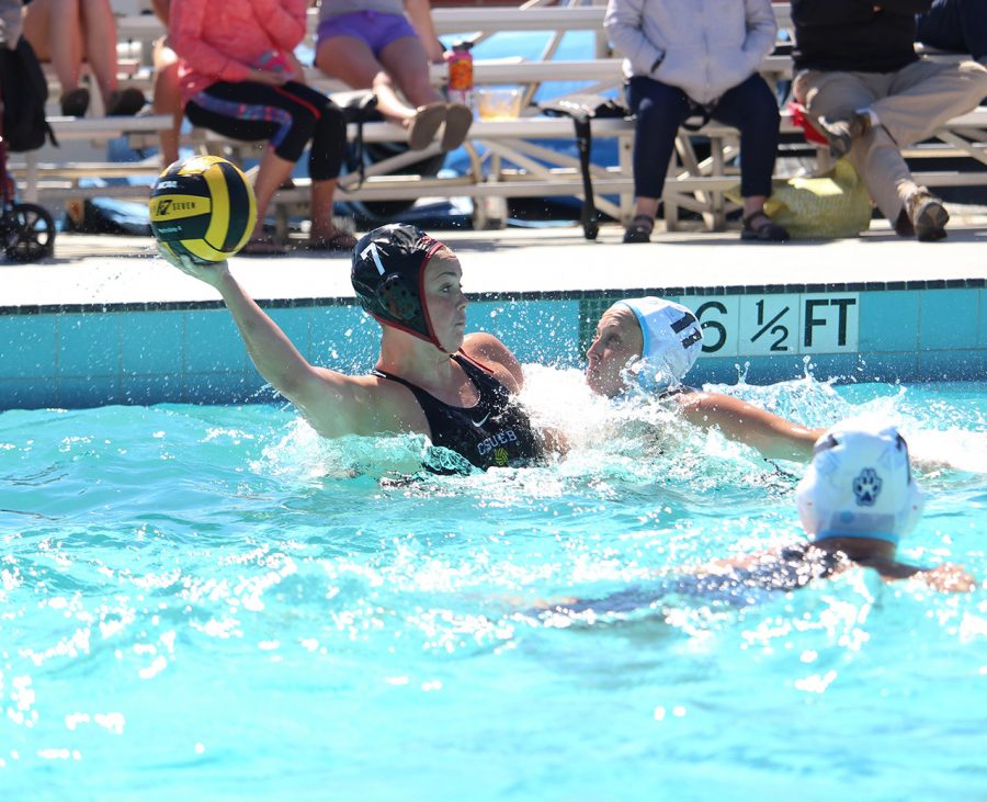 Water polo falls to conference rivals