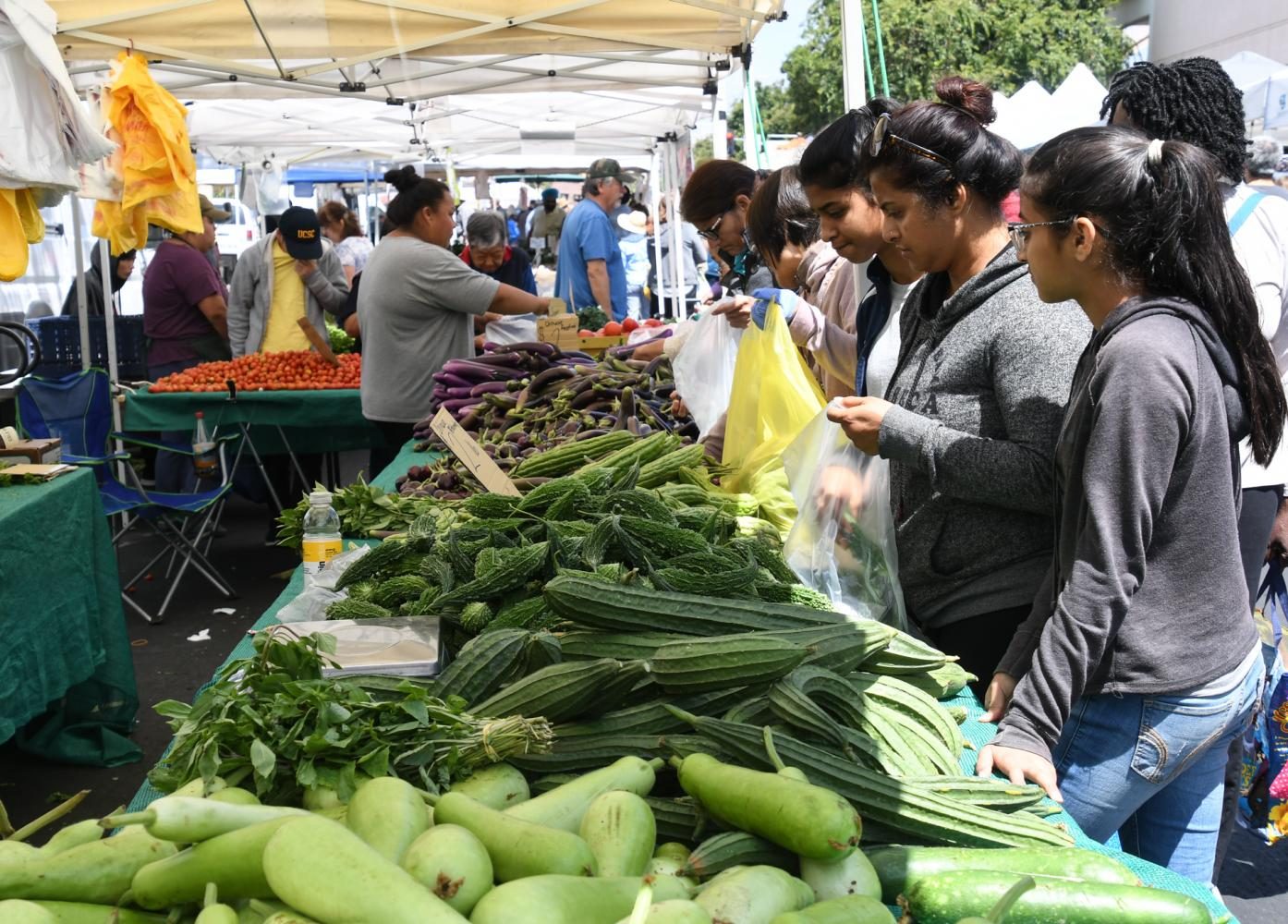 Shoppers+sift+through+fruits+and+vegetables+at+the+farmers+market+in+downtown+Hayward+on+Saturday+near+City+Hall.+The+market+has+been+an+institution+in+the+city+for+more+than+20+years+and+is+open+year+round%2C+every+Saturday+from+9+a.m.+to+1+p.m%2C+rain+or+shine.+The+market+features+more+than+35+farmers%2C+food+purveyors%2C+and+artisans+selling+locally+grown+organic+produce%2C+seafood%2C+pastured+eggs%2C+cheese%2C+nuts%2C+honey+breads%2C+baked+goods%2C+plants%2C+fresh-cut+flowers%2C+pre-packed+cold+and+hot+foods%2C+artisanal+crafts+and+jewelry.