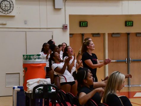 Volleyball bounces back, sinks Otters