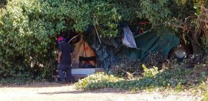 Homeless encampments populate Hayward