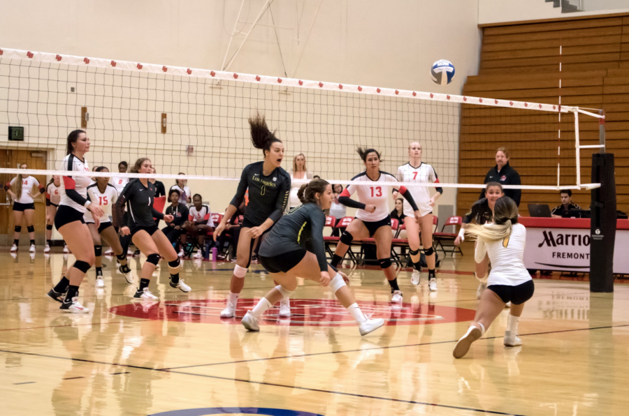 Volleyball clinches playoff spot