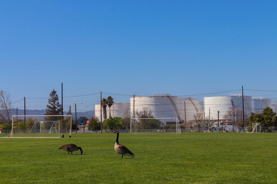 San Francisco Bay Area residents coexisting with major oil refineries