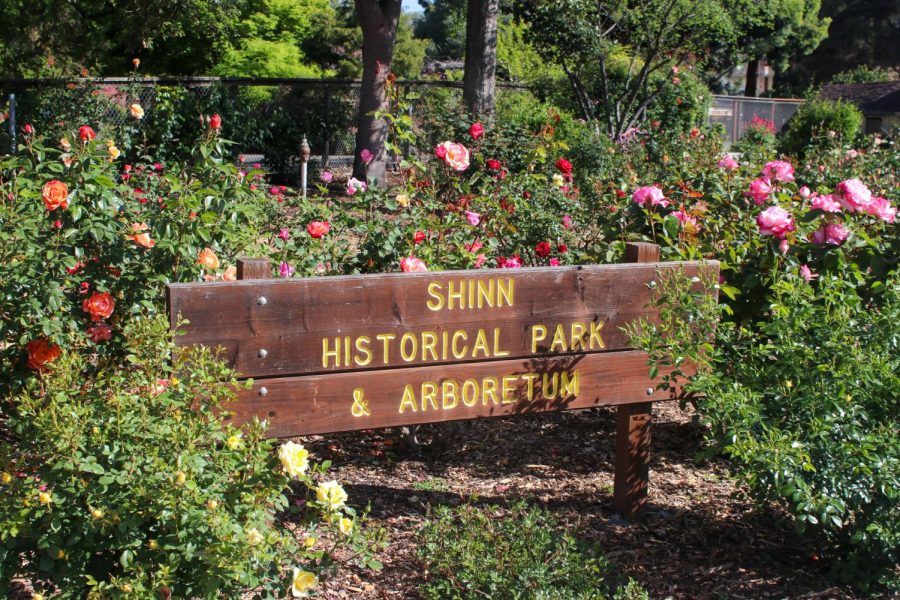 Shinn Historical Park Sign, Fremont, Calif. on April 10.