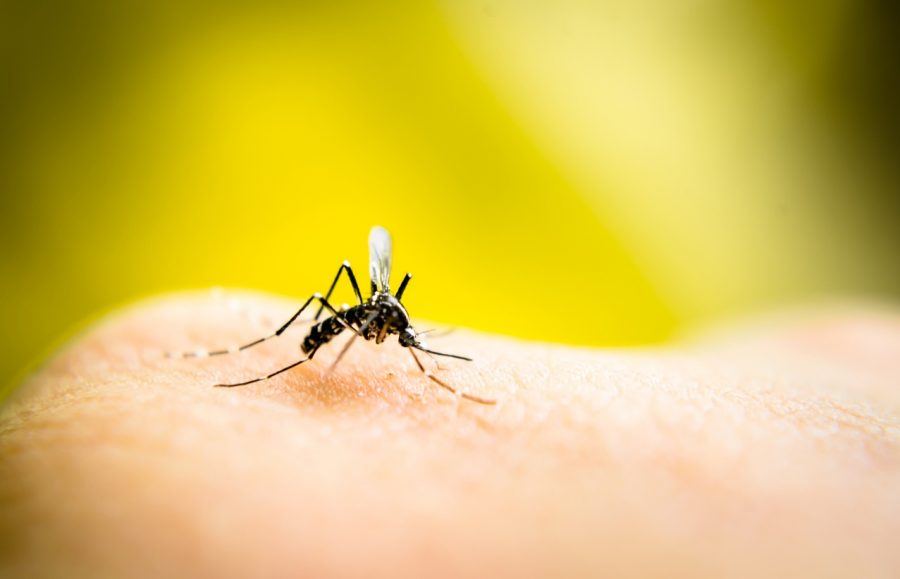 Rising Cases of Positive West Nile Virus Infestation in Alameda and Santa Clara County