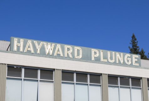 Fact or Fiction: The Hayward Plunge Murders