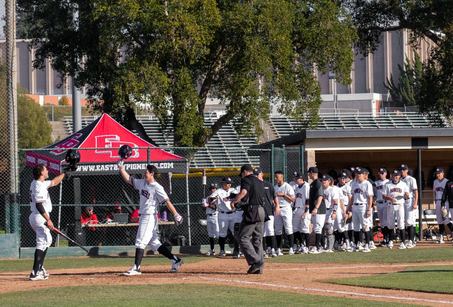 Ethan Brodsky - Baseball - Cal State East Bay University Athletics