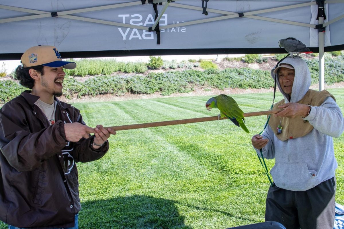 Cal State East Bay history major Jose Nuno (left) smiles as he handles a perch with SF State Alumnus Tom Chu (right) on March 4, 2026.